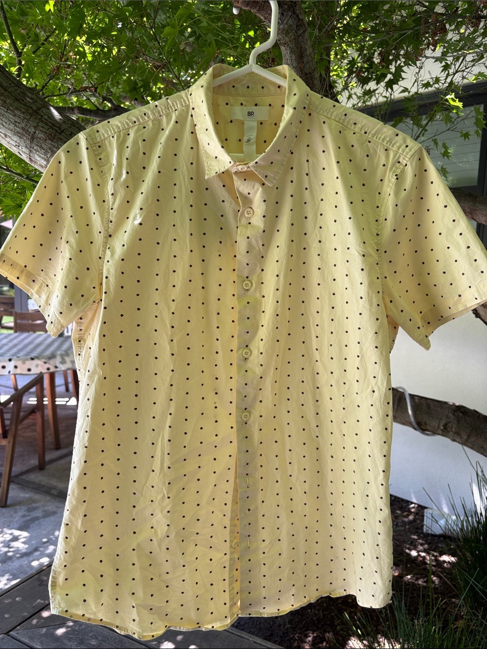 BP. Men’s Short-Sleeve Yellow with brown Dots Button-Down short sleeve Shirt